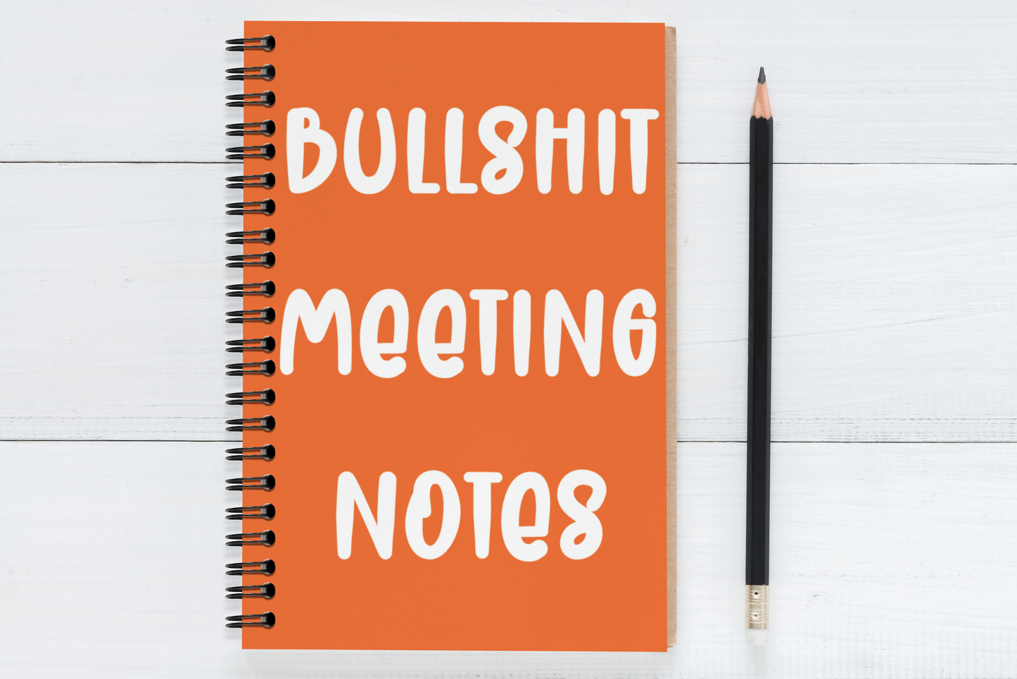 Bullshit Meeting Notes